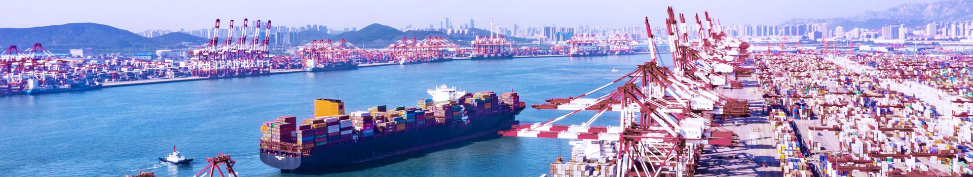 吊鉗,起重鉗價格,起重吊鉗型號,起重鉗廠家-辰力集團(tuán)